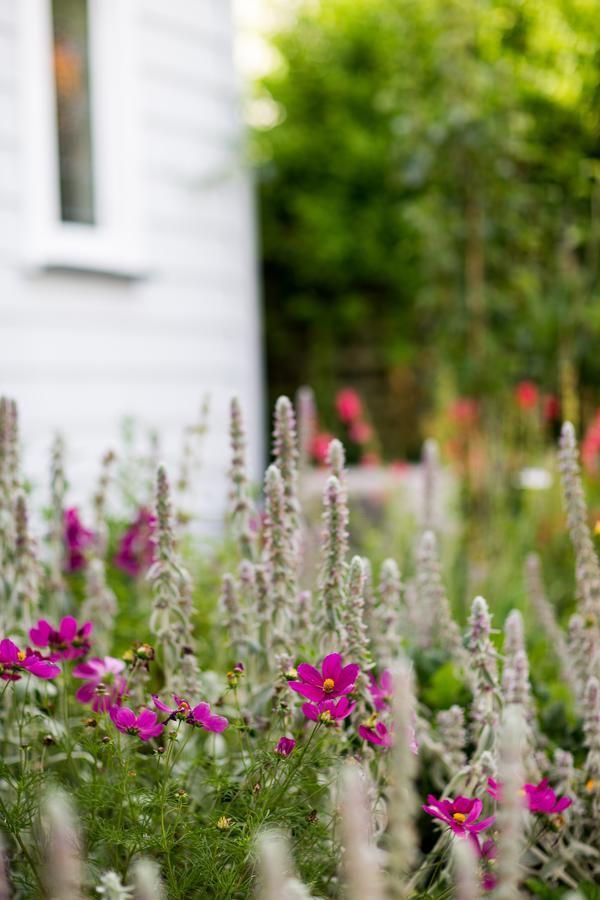 Coghill Cottage วิเทียงกา ภายนอก รูปภาพ